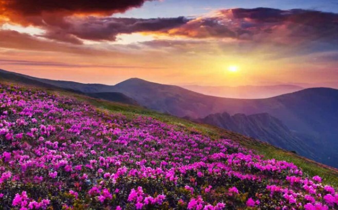 best time for Valley of Flowers Trek